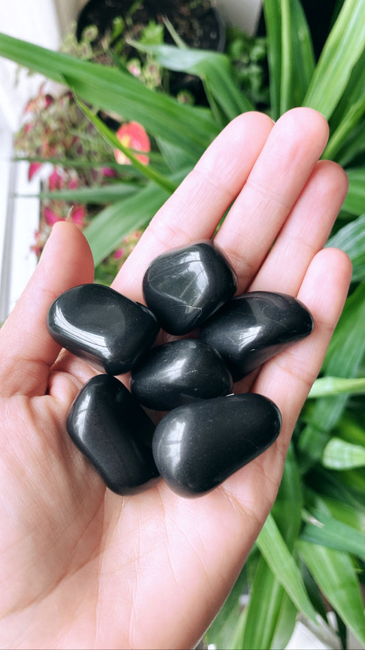 Black Tourmaline Crystal