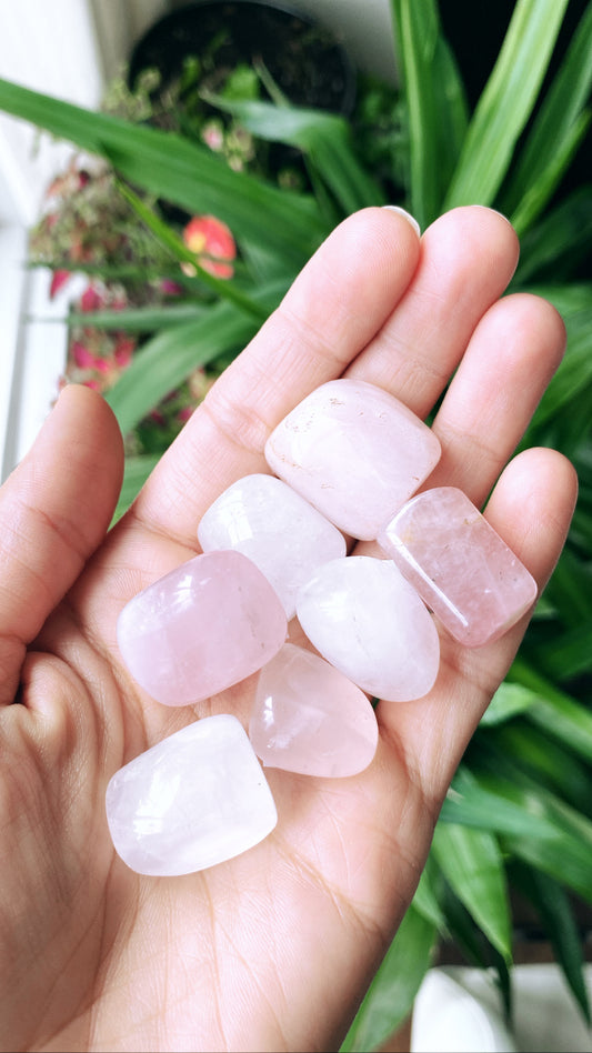 Rose Quartz Crystal