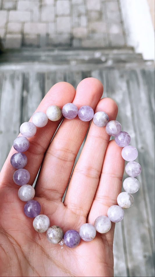 Purple Lilac