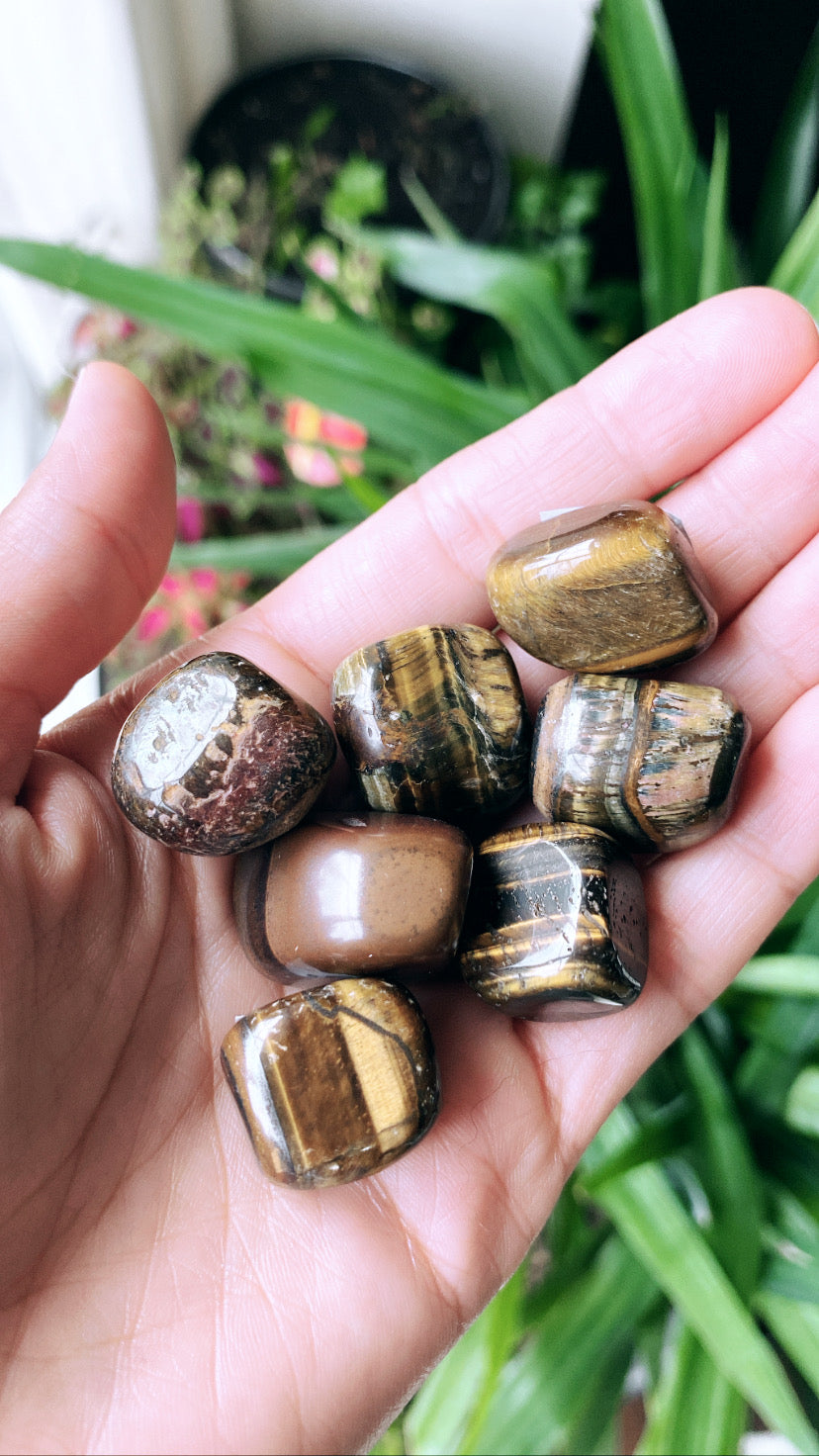 Tiger Eye